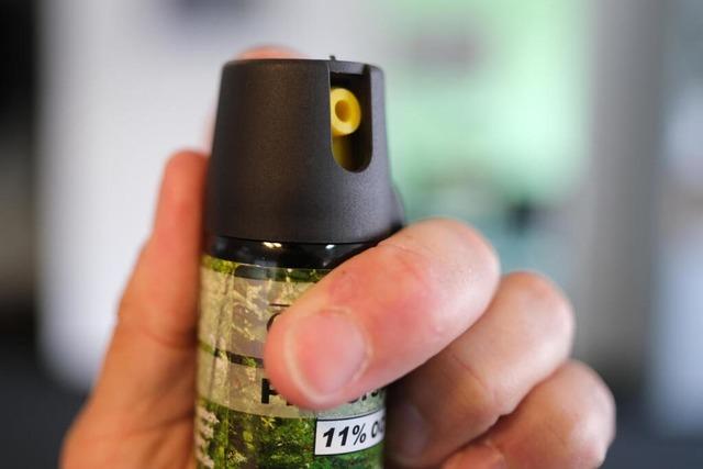 Pfefferspray-Verdacht in Lrracher Privatschule: Rettungsdienst behandelt 24 Schler